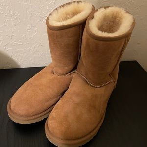 UGGS (chestnut)